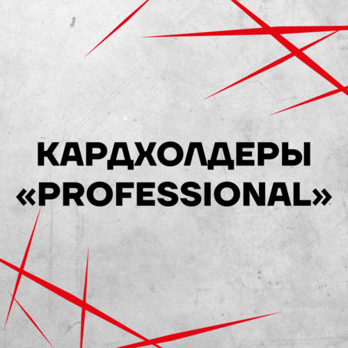 Кардхолдеры "Professional"